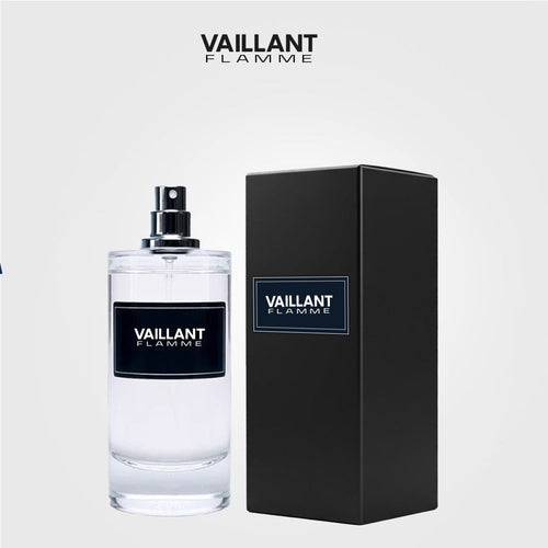 Vaillant Flamme