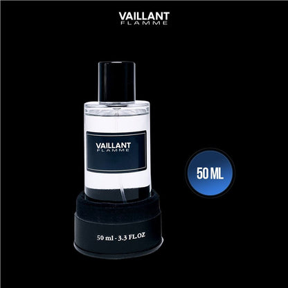Vaillant Flamme